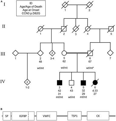 Evidence of a Recessively Inherited CCN3 Mutation as a Rare Cause of Early-Onset Parkinsonism